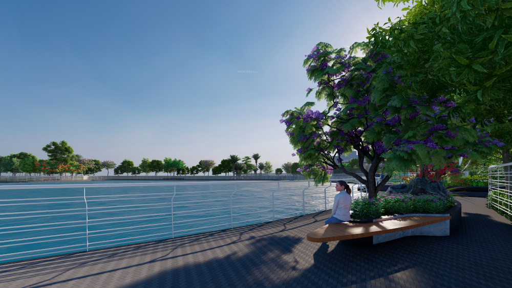  lakeshore oasis Others