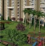  the-crown-of-noida Children's play area