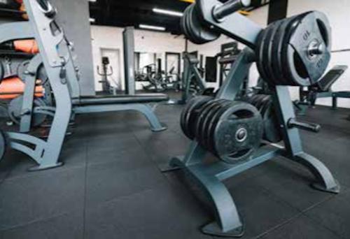  sateri-legacy Gymnasium