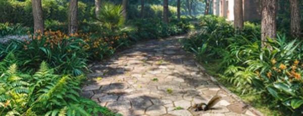  corinthia-tower-1-and-tower-2 Jogging Track