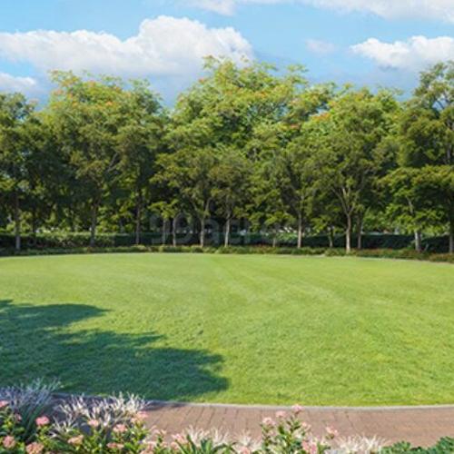  corinthia-tower-1-and-tower-2 Landscape Garden and Tree Planting