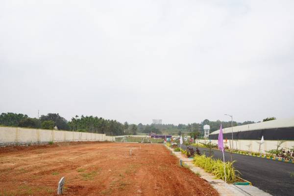  arohana-serenity Plot