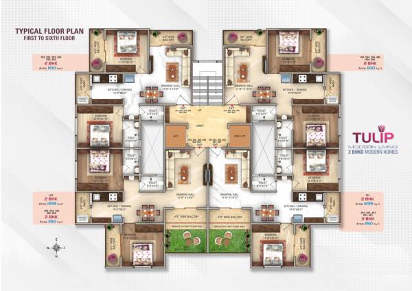  tulip Tulip Cluster Plan