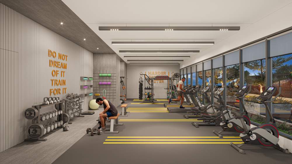  codename one luxe Gymnasium