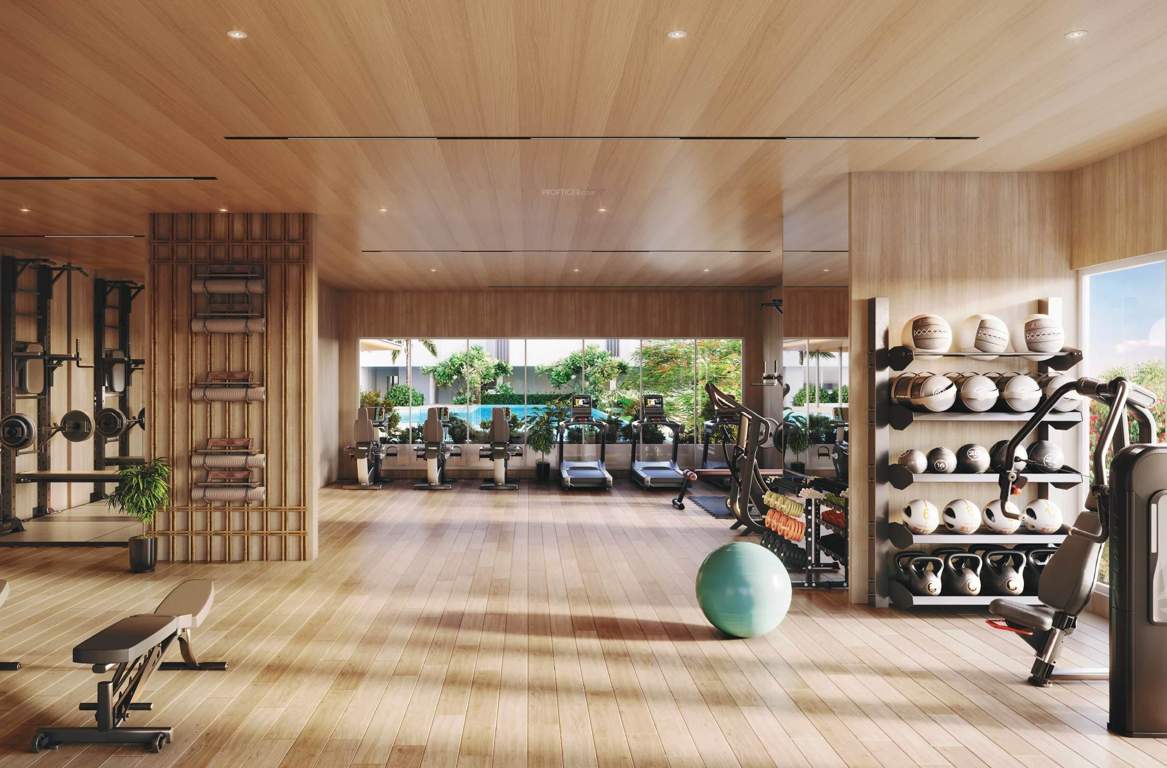  the reserve Gymnasium