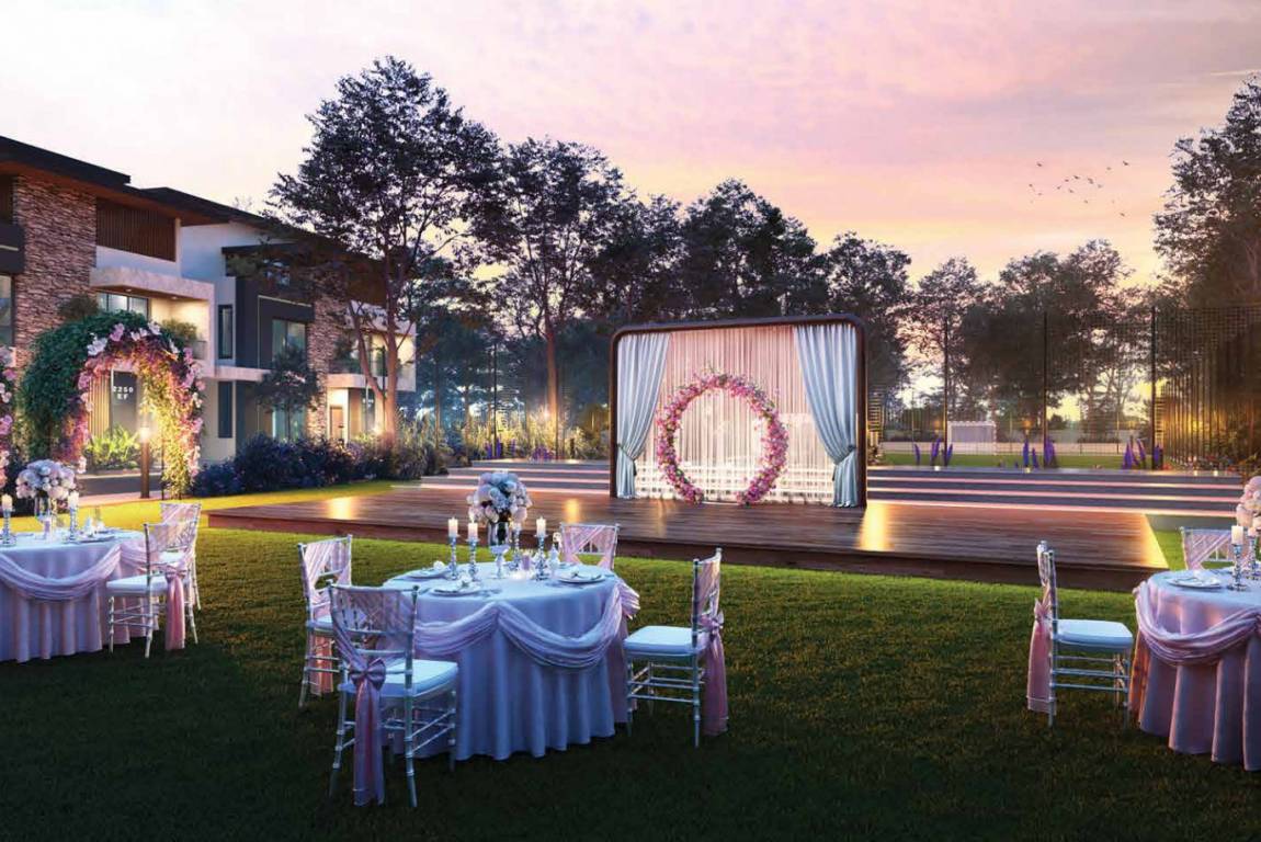 ellegenza phase ii Others