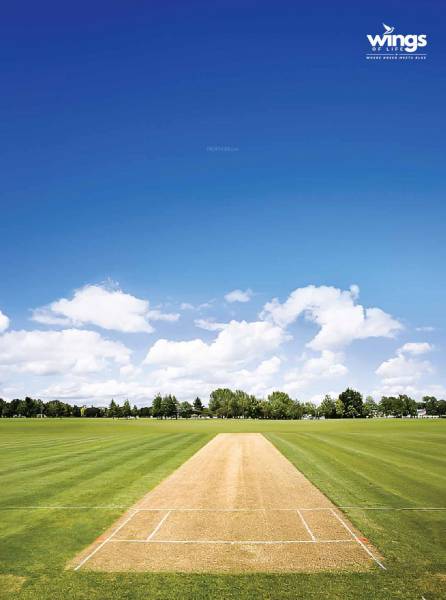  wings Cricket Pitch