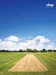 Cricket Pitch  wings Cricket Pitch