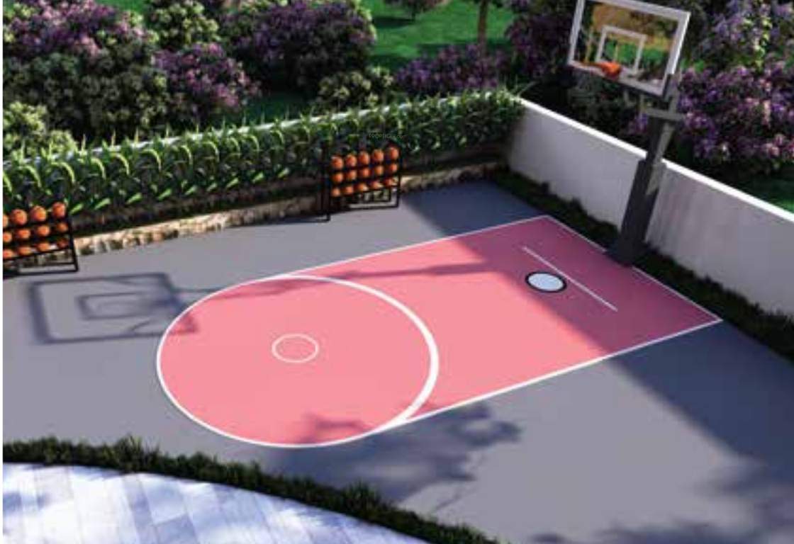 nvg rakshak Basketball Court