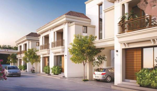  sudhapati-aarya-elite Elevation