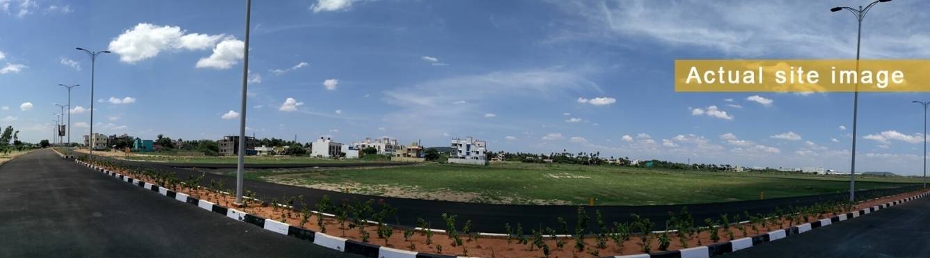  titanium city Others