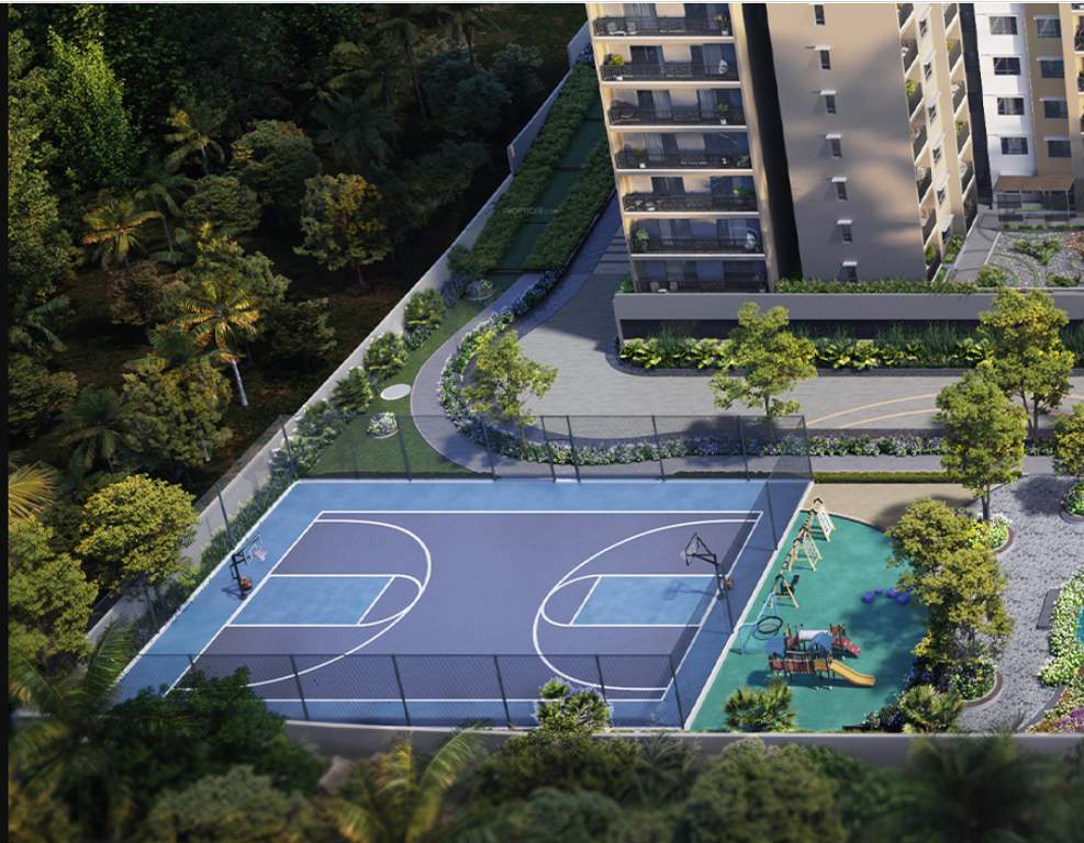 liva Basketball Court