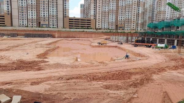 constructionStatus of Kalyani Living Tree