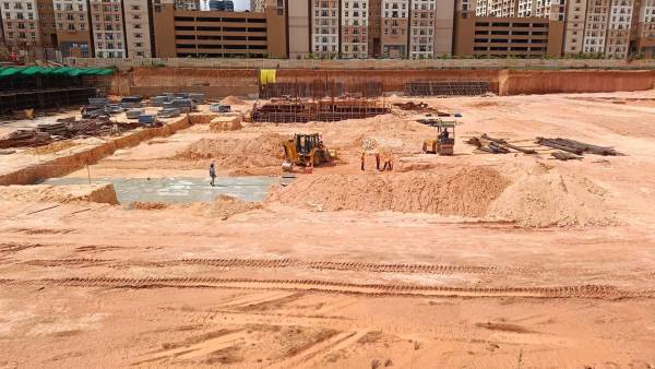 constructionStatus of Kalyani Living Tree