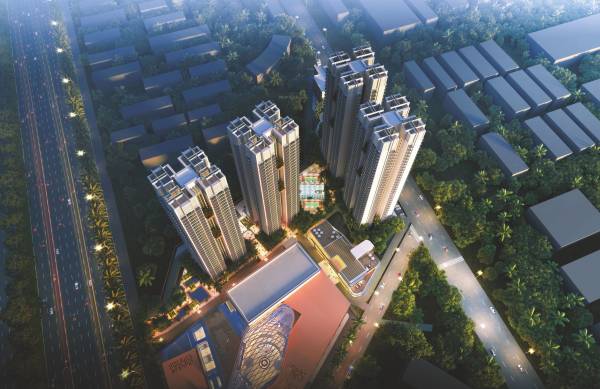 Elevation camasa Elevation