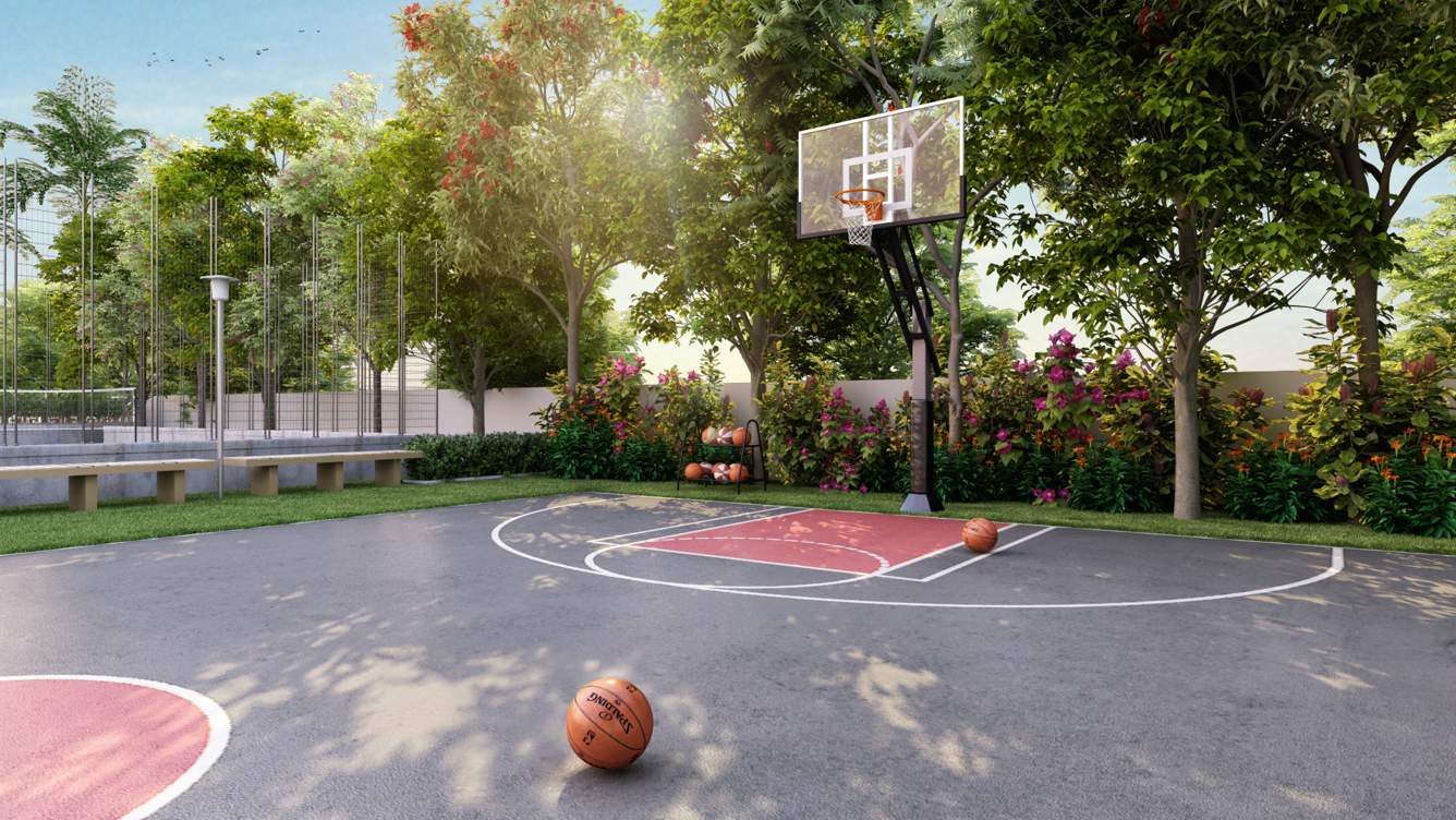  aspire Basketball Court