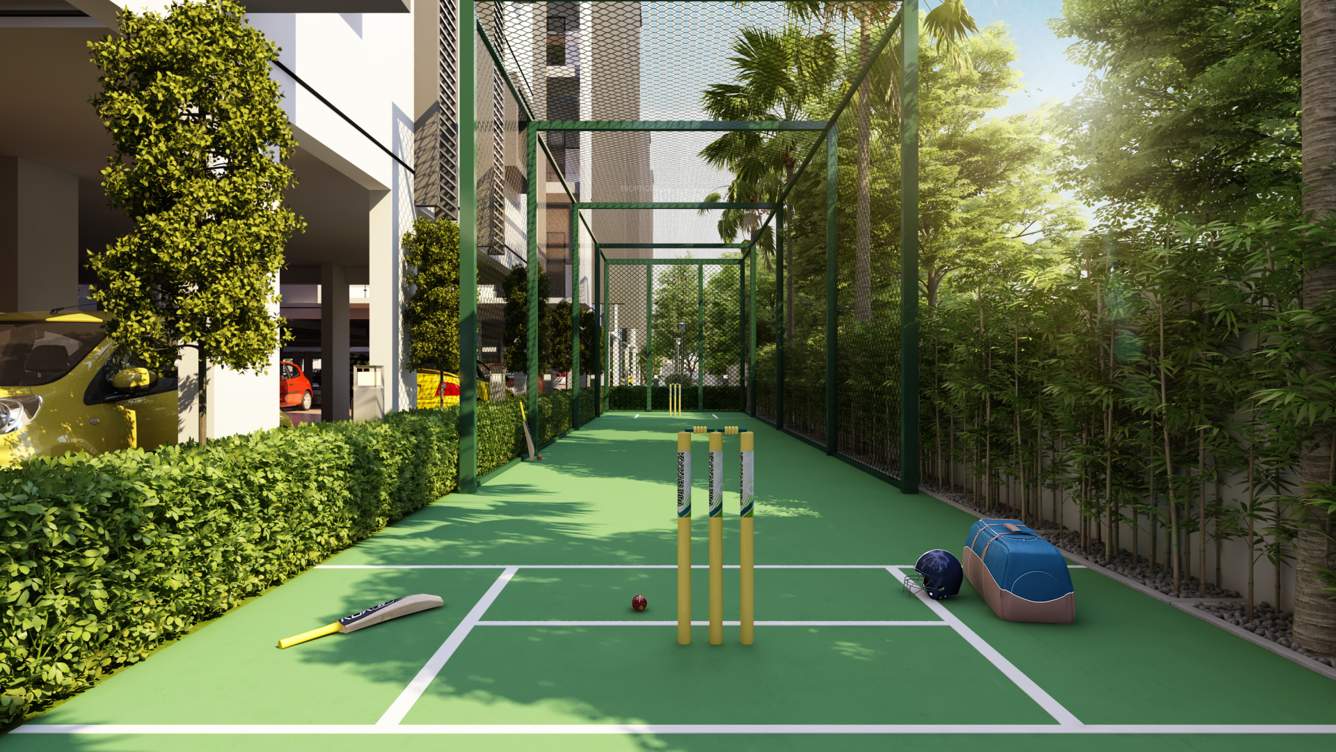  aspire Cricket Pitch
