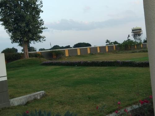 Landscape Garden and Tree Planting emerald-green Landscape Garden and Tree Planting