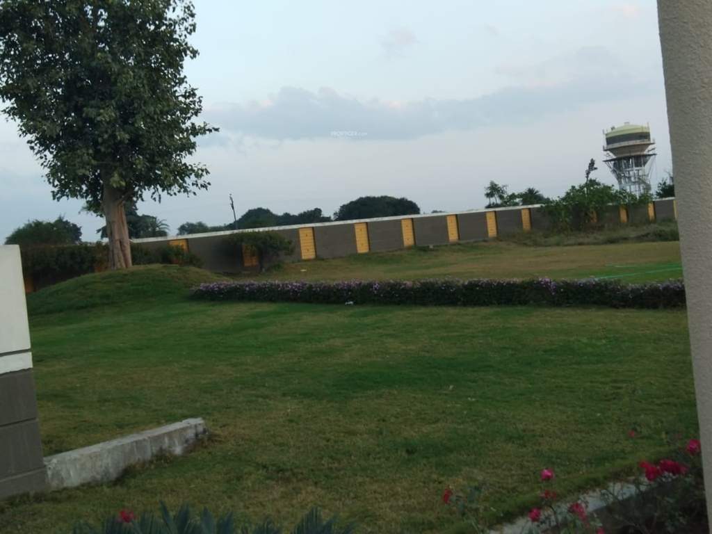 emerald green Landscape Garden and Tree Planting