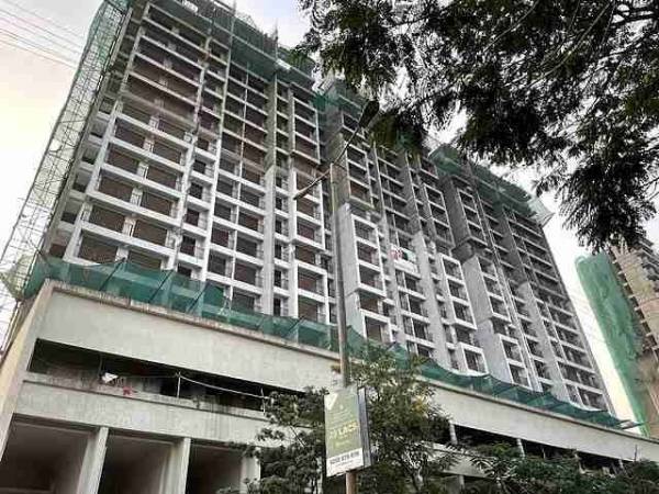  ornate Construction Status Nov-24