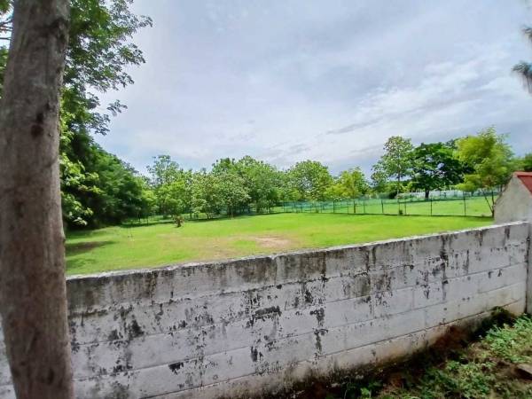  avalon-premium-plots Elevation