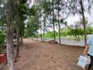 Avalon Premium plots