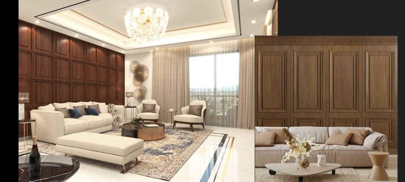  vikaspuri 4bhk luxurios home Living Area