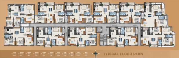  paradise JV Paradise Cluster Plan for Typical Floor