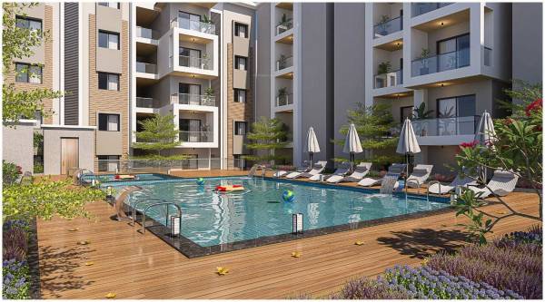  innovative-palacia Swimming Pool