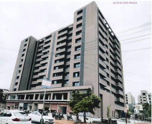 purple-patch Elevation Elevation