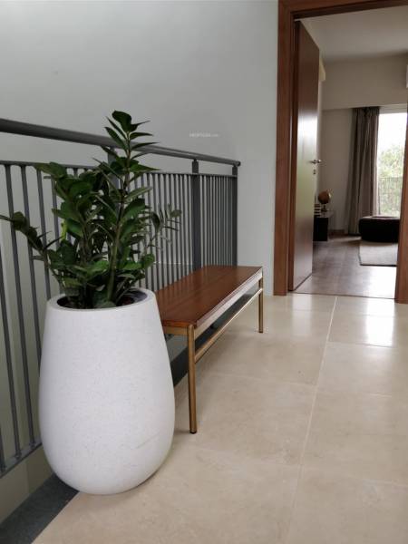  leaves-and-lives Others