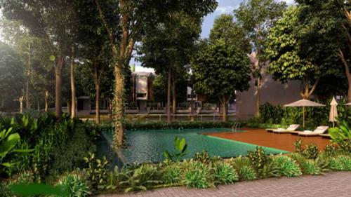  leaves-and-lives Swimming Pool