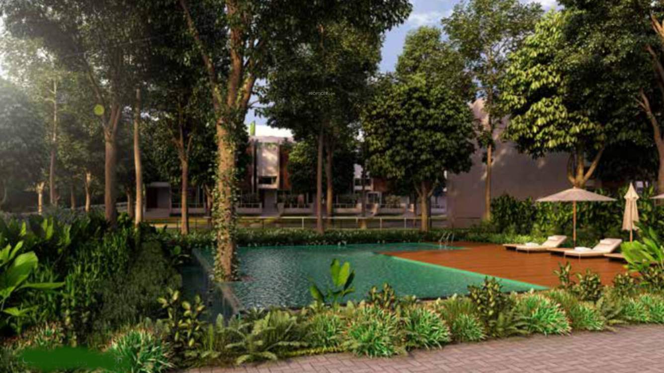  leaves and lives Swimming Pool