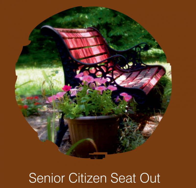  pooja heaven phase 2 Senior Citizen Sitout