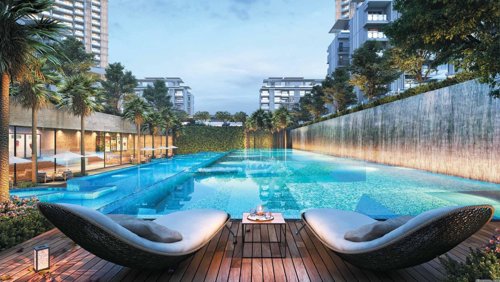 Swimming Pool palm-retreat Swimming Pool