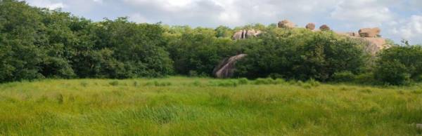  aliens-hub Elevation