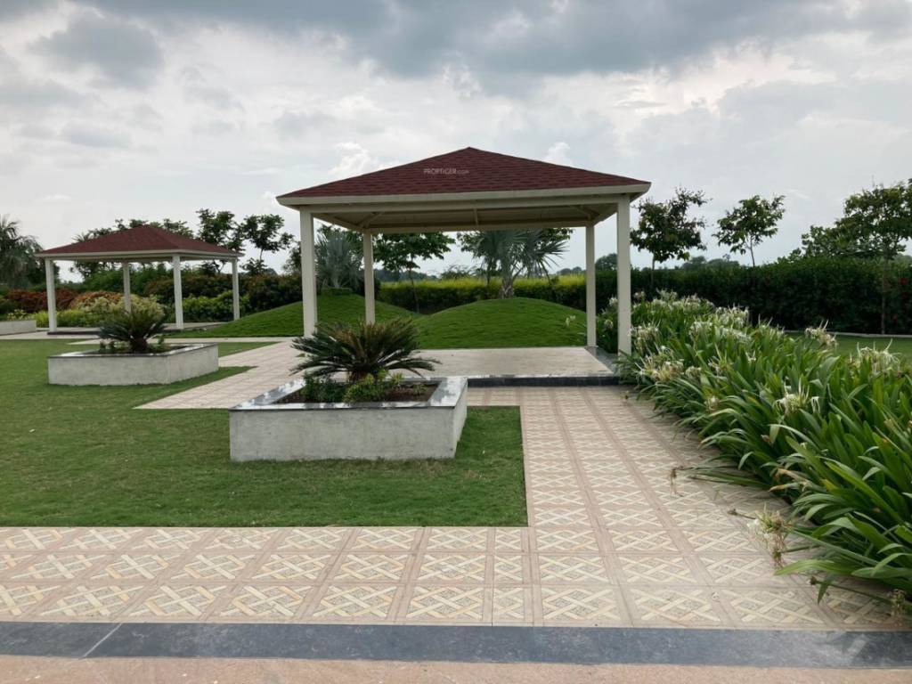 shivashri dham Others