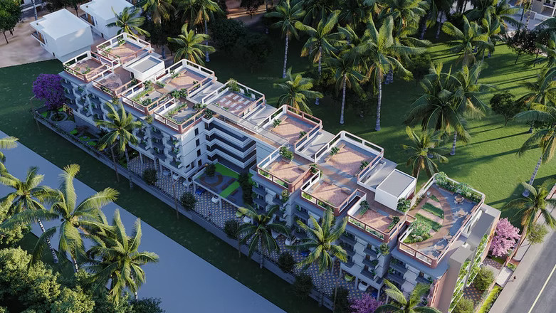  sakura blossom Elevation