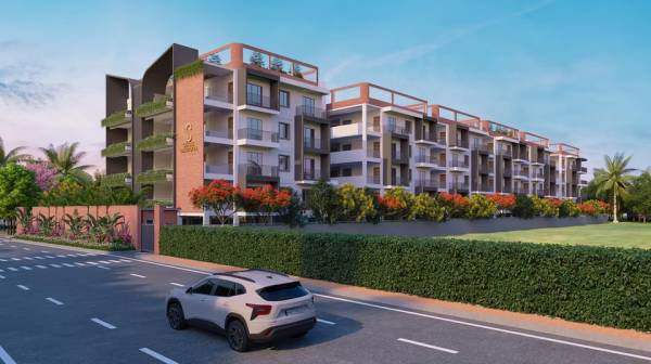 Elevation sakura-blossom Elevation