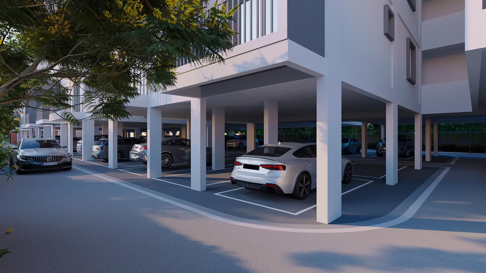  sakura blossom Others