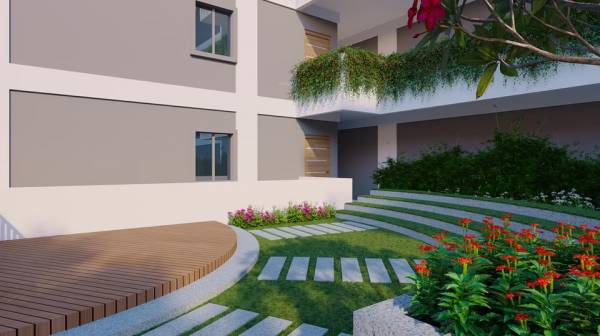  sakura-blossom Others