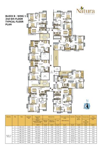  srijan-natura Block B Wing 1 Cluster Plan from 2nd to 6th Floor