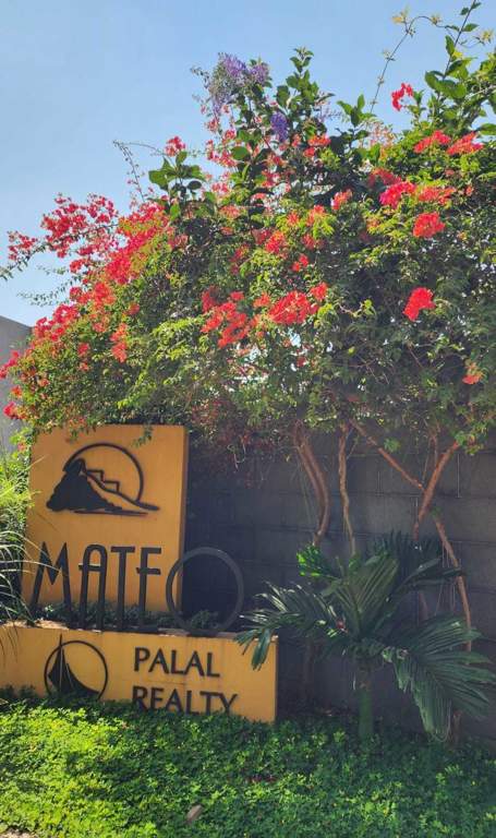  the mateo Landscape Garden and Tree Planting