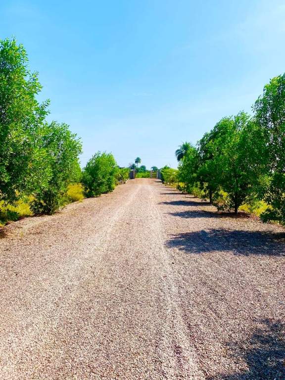  future city phase 3 Plot