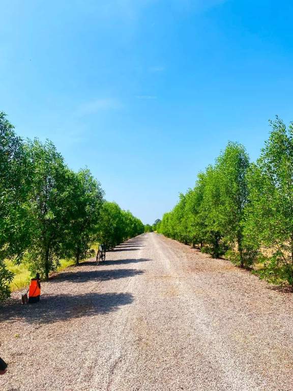  future city phase 3 Plot