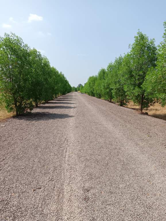  future city phase 3 Plot