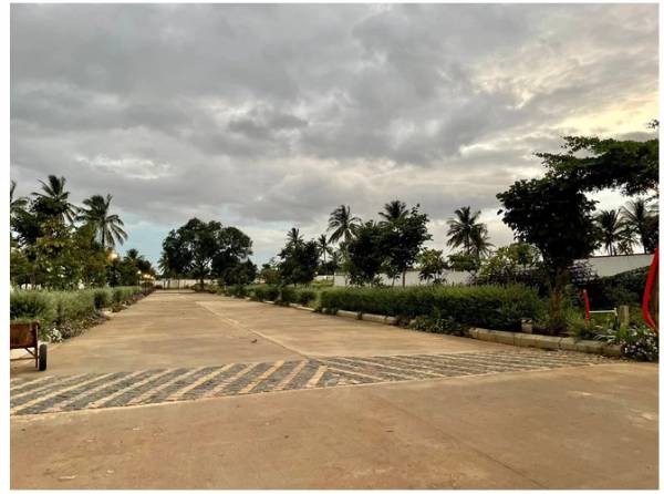  saikam-aananda Others