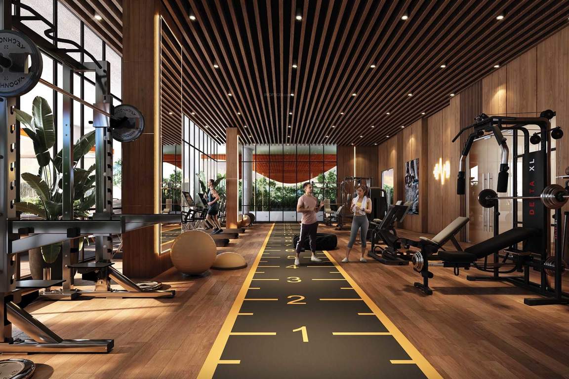 the majesty Gymnasium