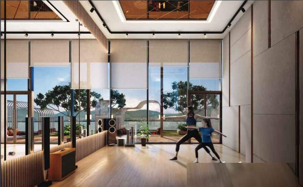 the majesty Gymnasium