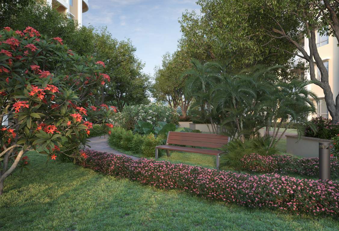  heights Landscape Garden and Tree Planting